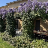 terrasse ombragée sous la glycine
