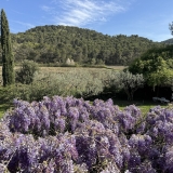 vue depuis la chambre 2 